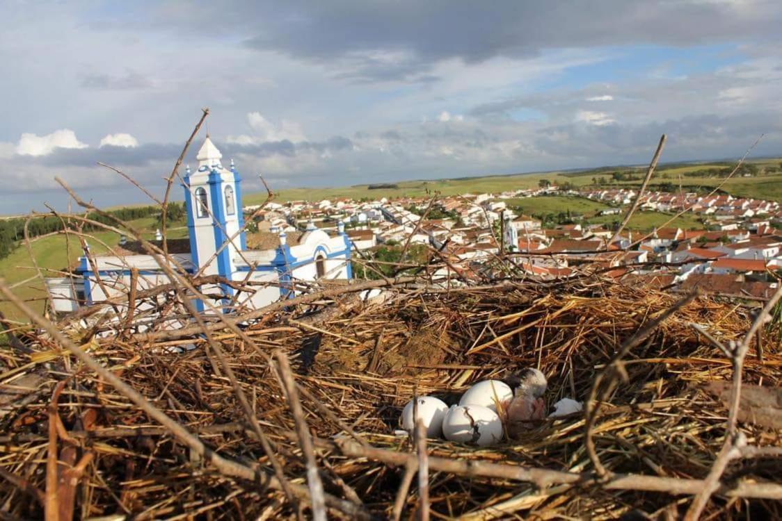 A Praia Da Messejana Exteriér fotografie